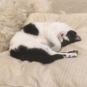 Meet your Posher, Nadya